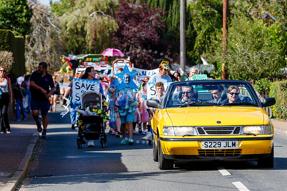 Pulham Market Carnival