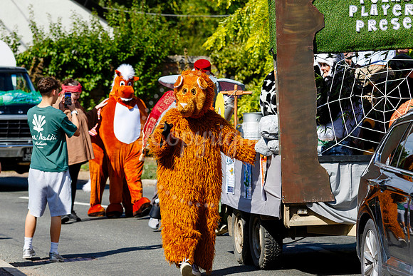 Pulham Market Carnival