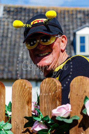 Pulham Market Carnival