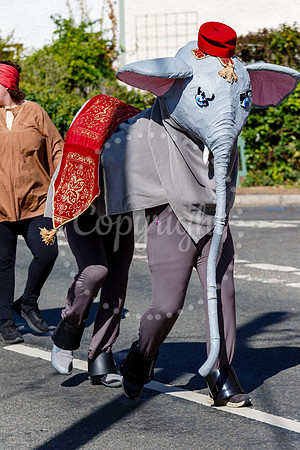 Pulham Market Carnival