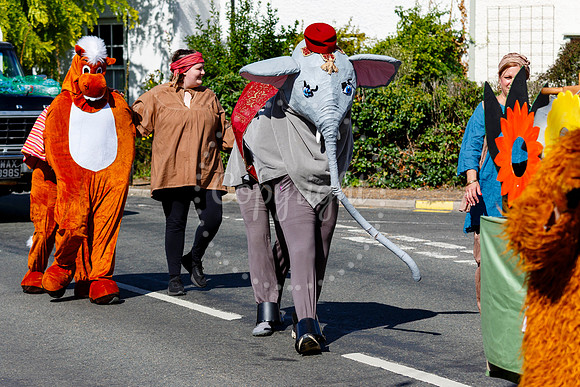 Pulham Market Carnival