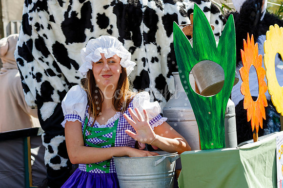 Pulham Market Carnival