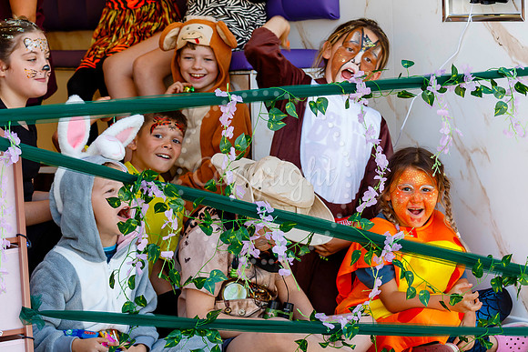 Pulham Market Carnival