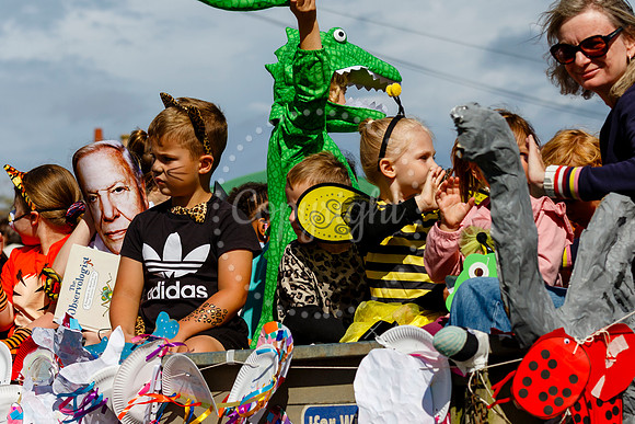 Pulham Market Carnival