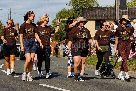 Pulham Market Carnival