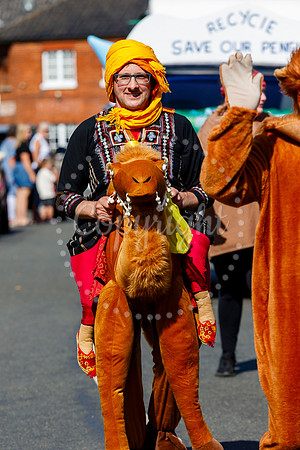 Pulham Market Carnival