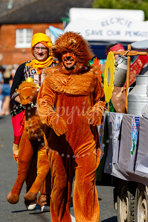 Pulham Market Carnival