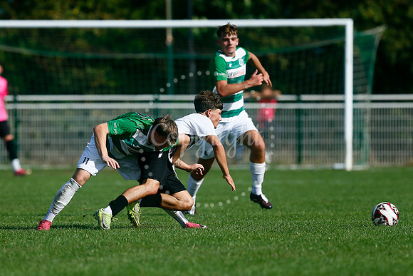 Framlingham Town v Long Melford