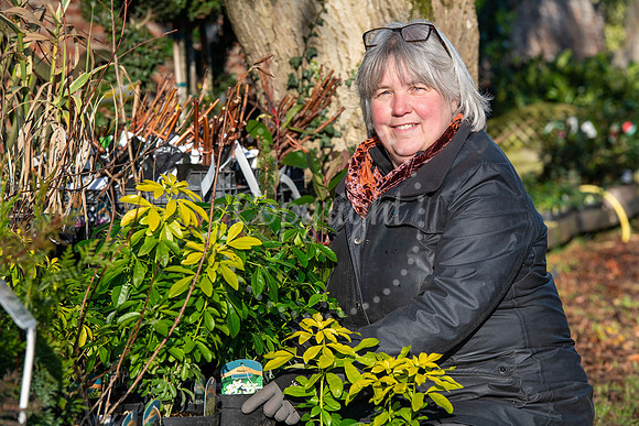 BFP Yvonne Harbutt at Rougham Hall Nurseries, Bury Road, Bury St