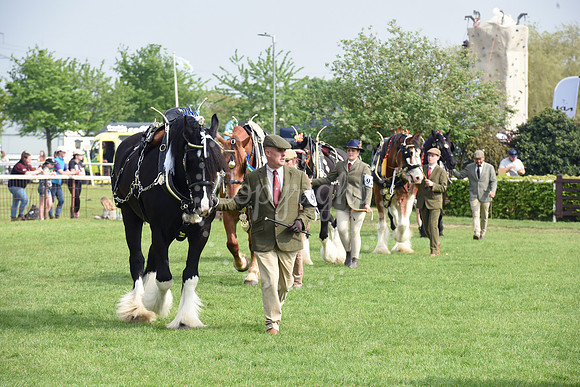 Nottingham County Show