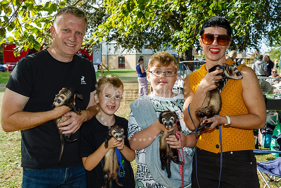 Soham Pumpkin Fair