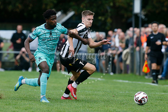 Harleston Town v Real Bedford