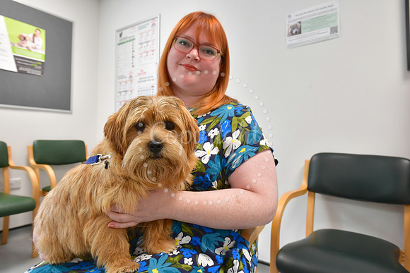 Pet of the Year, competition winners