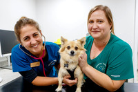 Waveney Valley Vets Open Day