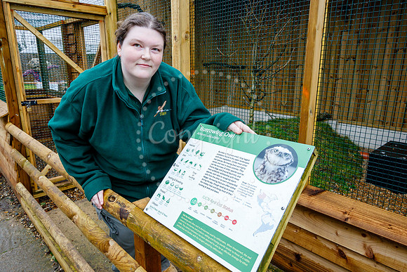 Suffolk Owl Sanctuary
