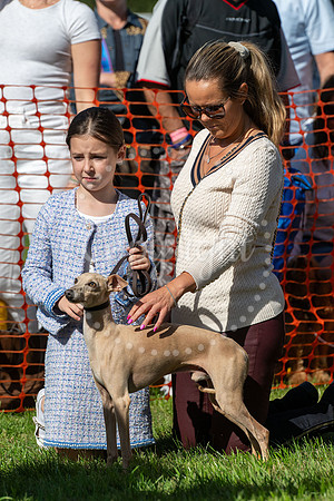 NJ Newmarket Henry Cecil Open Weekend 2026. Picture Mark Westley