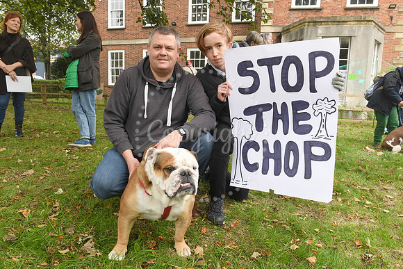 Peaceful picnic and music to protest against felling of trees