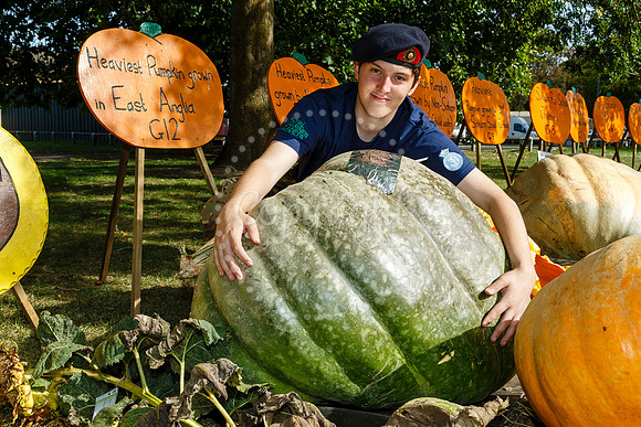Soham Pumpkin Fair