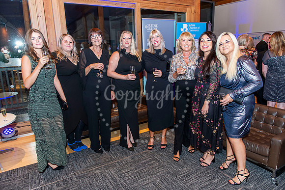 Bury Free Press West Suffolk Business Awards 2023 The Apex Bury