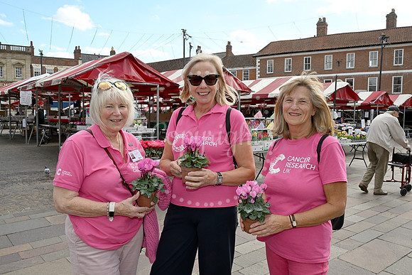 Turn Newark Pink
