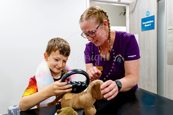 Waveney Valley Vets Open Day