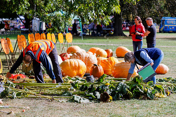 Soham Pumpkin Fair