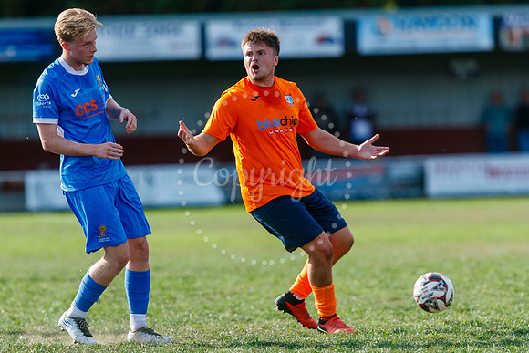 Diss Town v Wivenhoe Town