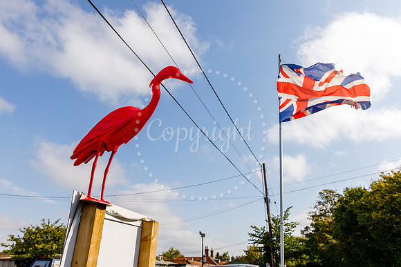 Bird Banksy in Rushall
