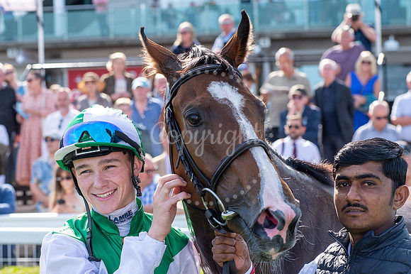 NJ Rowley Mile racecourse, NewmarketCambridgeshire Day, races C