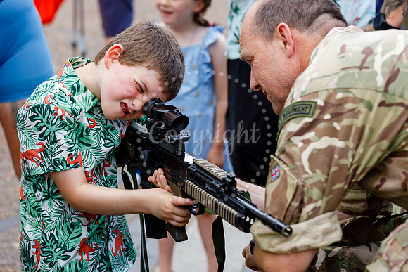 Armed Forces day on Diss Market Place