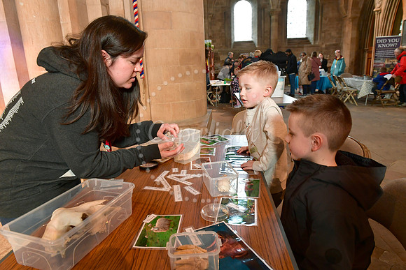 Festival of Science & Curiosity event at Southwell Minster