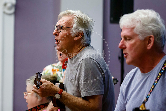 Ukele day held at the Cornhall in Diss