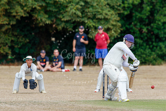 Cricket action from Diss v Cromer