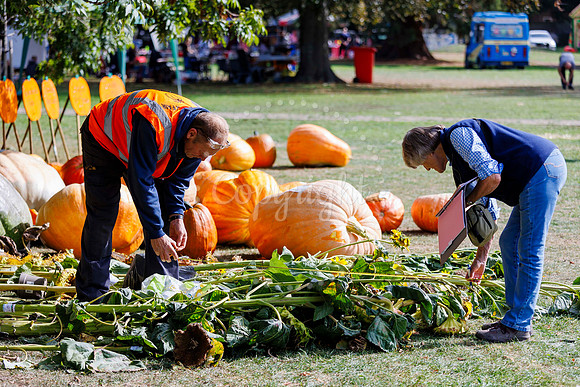 Soham Pumpkin Fair