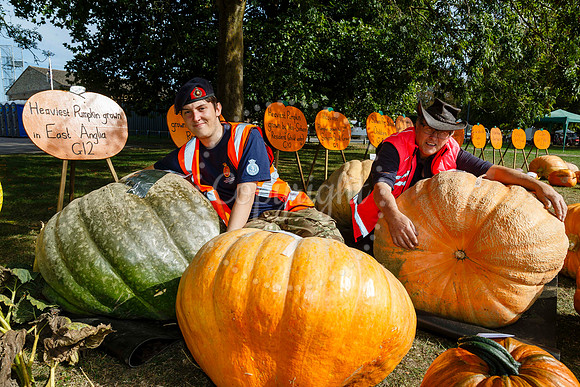 Soham Pumpkin Fair