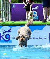 Week 23, 2024: Dogstival