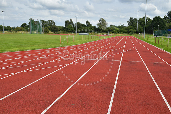 YMCA Olympic Feature