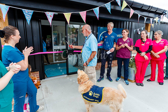 Waveney Valley Vets Open Day
