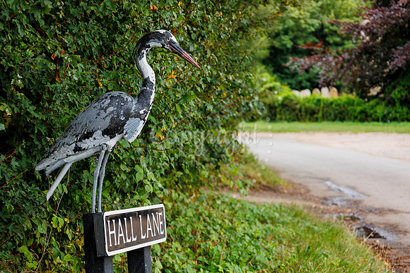 Bird Banksy