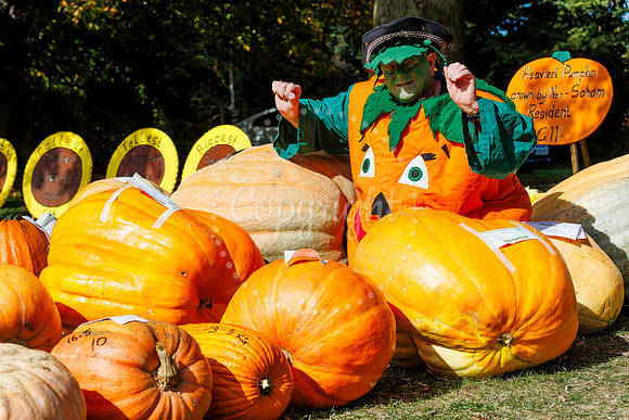 Soham Pumpkin Fair