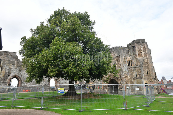 Newark Castle Gatehouse briefing