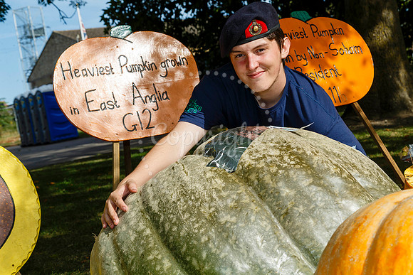 Soham Pumpkin Fair