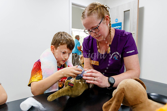 Waveney Valley Vets Open Day
