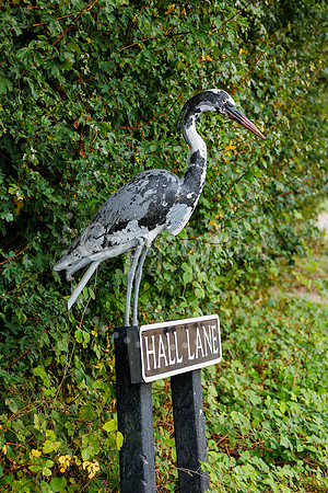 Bird Banksy