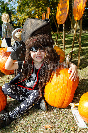 Soham Pumpkin Fair