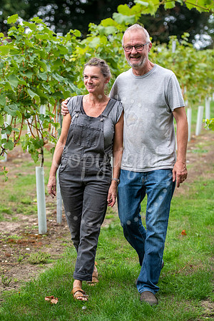 Hawkswood Vineyard, Thurston Place, Beyton Road, ThurstonMichae
