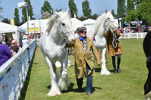 Nottinghamshire County Show