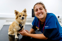 Waveney Valley Vets Open Day
