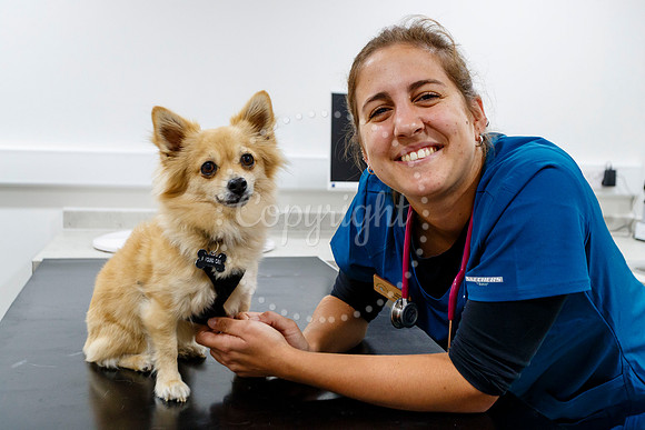 Waveney Valley Vets Open Day