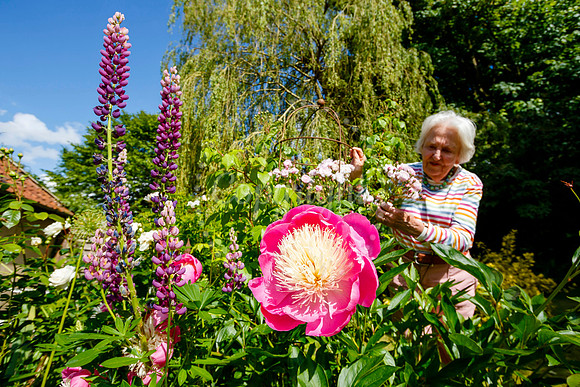 Eye Open Gardens weekend